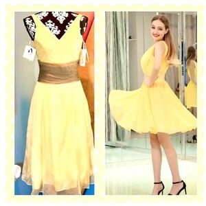 NWT,Siri, Peggy Lee in Daffodil & Hazelnut, 1950’s Chiffon,V-Neck Design, Size 4